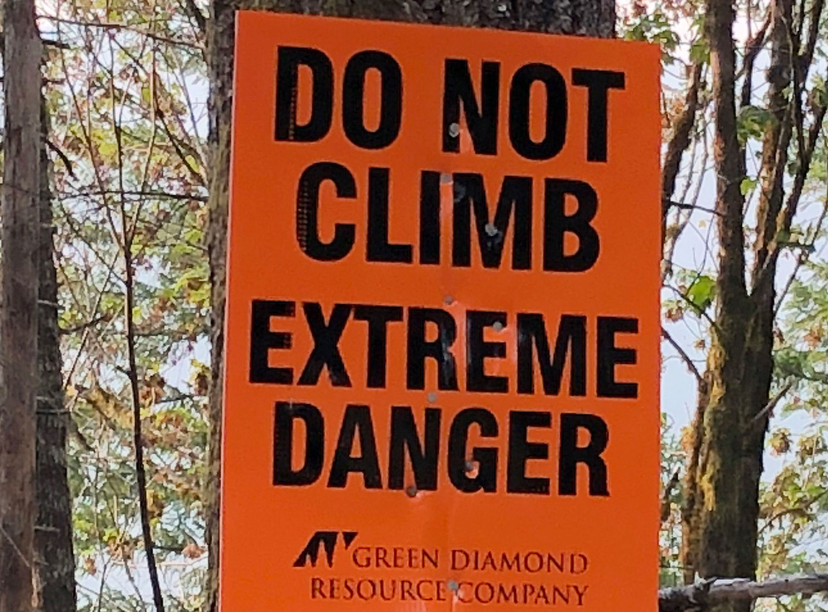 Vance Creek Bridge danger sign